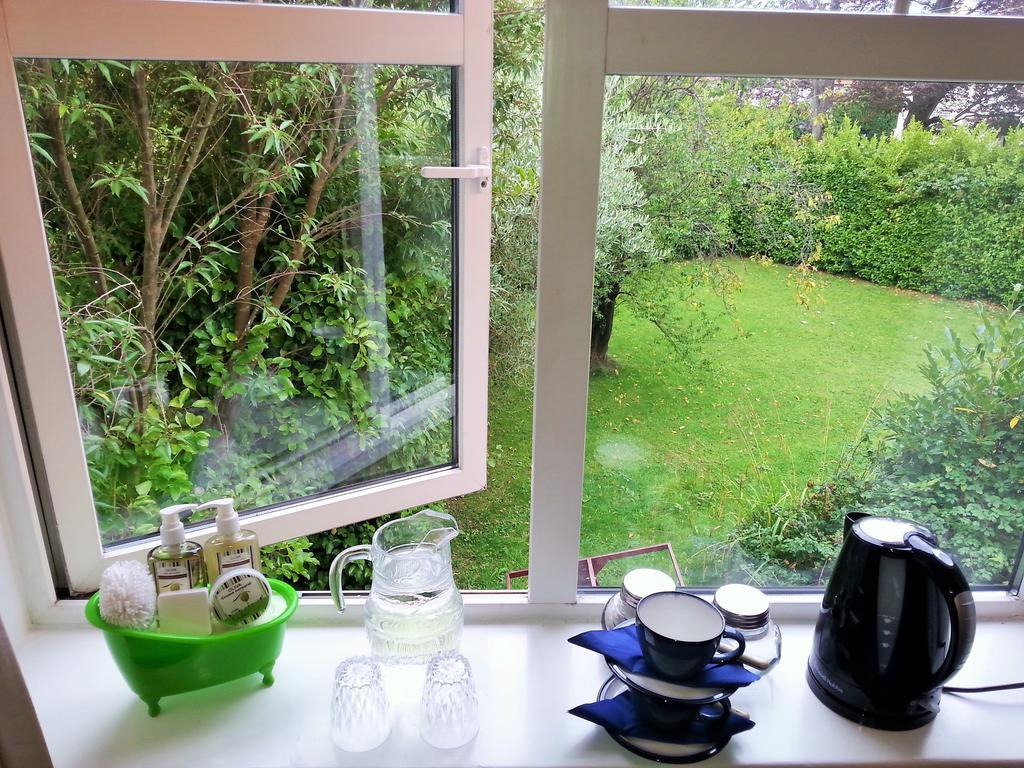 邓莱里The Dell Dublin住宿加早餐旅馆 客房 照片