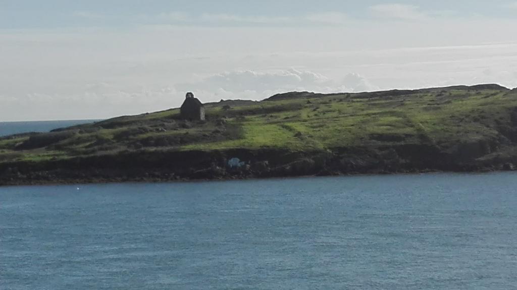 邓莱里The Dell Dublin住宿加早餐旅馆 外观 照片