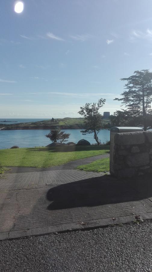 邓莱里The Dell Dublin住宿加早餐旅馆 外观 照片